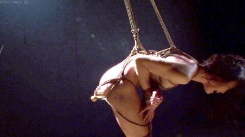 完全固定緊縛 SM調教 エロ SM画像 AV画像 〜 碧しの ｜ SMなおとSM ｜ VICD-232