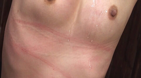 血がにじむまで 一本鞭連打 SM画像 エロ AV画像 〜 星川麻紀｜拷問ドラッグ ｜ GTJ052