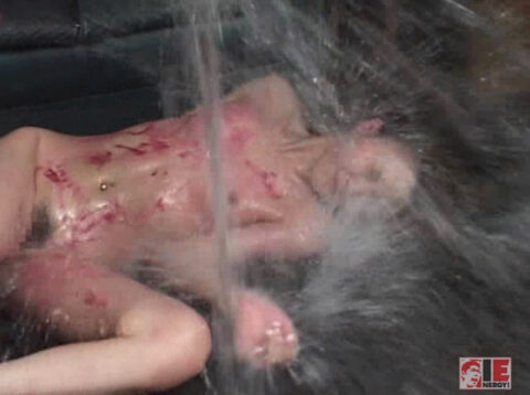 意識朦朧となるまで 弄ばれ 虐げられ 辱められて グッタリした所を 水をぶっかけられて 水責め SM調教される M女 もえ。 水責め 鬼畜 SM画像 エロ AV画像 〜 君嶋もえ | レズ輪姦 FILE.01 女デカ職権崩壊 | IESP–115 | SM調教 SM エロ 画像 SM調教 SMプレイ M女 君嶋もえ、SMAV SMなおとSM。