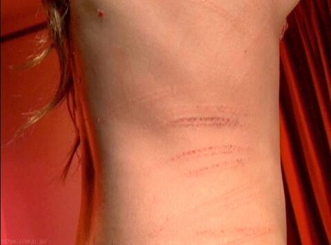 一本ムチ傷だらけ SM調教 エロ SM画像 AV画像 ｜ 涼風ゆり ｜